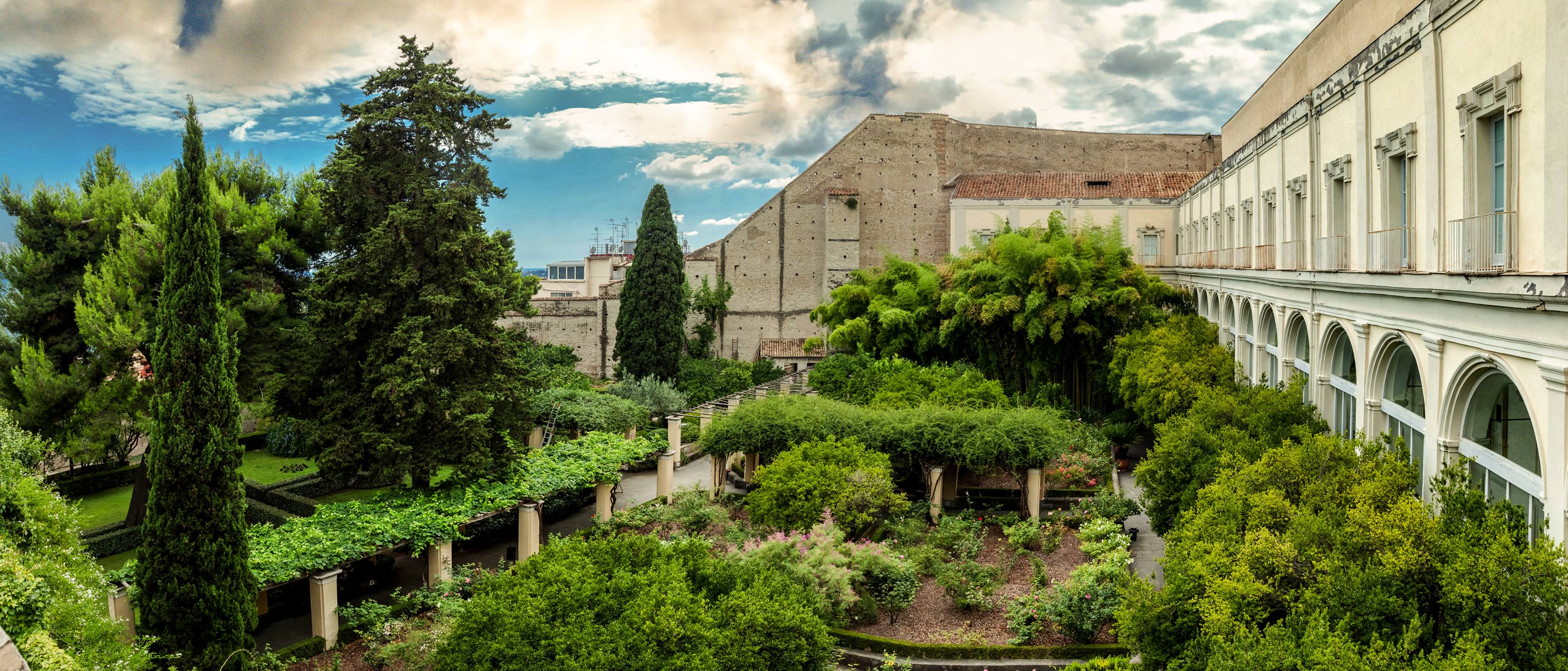 UniversitàSuorOrsolaBenincasa 1